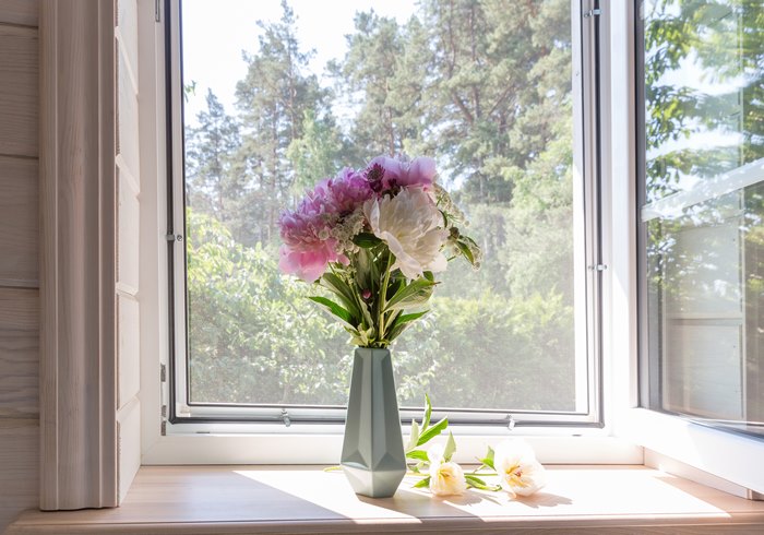 Professioneller Fensterputzer in Hildesheim