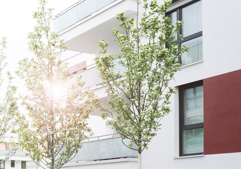 Frisch geputzte Fenster in einer Wohnung in Hannover